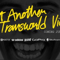Not Another Transworld Video!