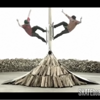 Skate & Create DVS Wood